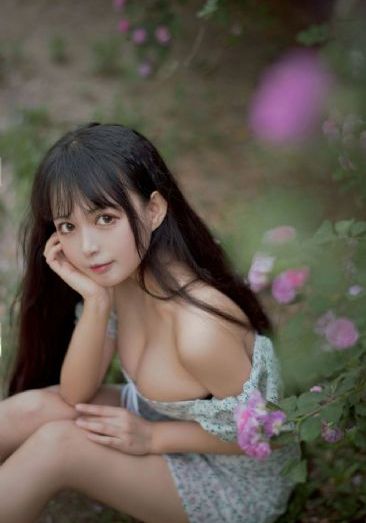 黎明与暗夜电视剧_1080在线视频播放