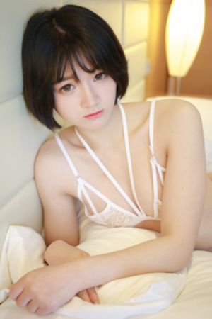 念无双动漫剧免费观看完整版高清_蓝光高清在线观看
